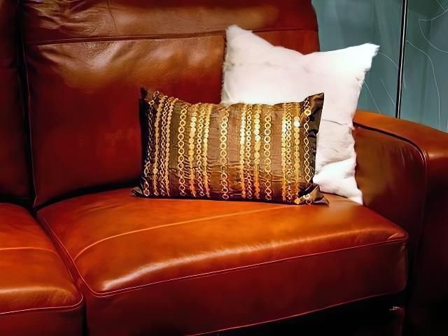 leather-cleaning-4-kireth-ai
